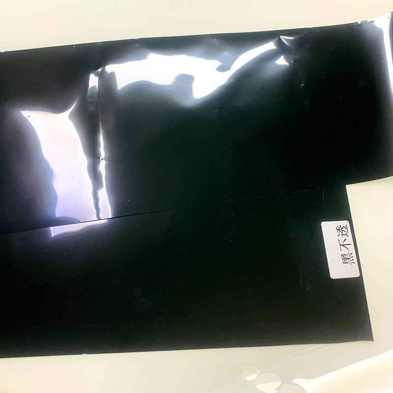 Black Architectural Decorative Window Film